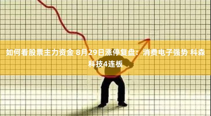 如何看股票主力资金 8月29日涨停复盘：消费电子强势 科森科技4连板