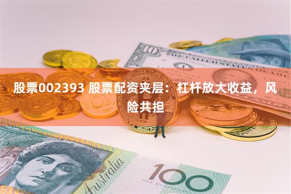 股票002393 股票配资夹层：杠杆放大收益，风险共担