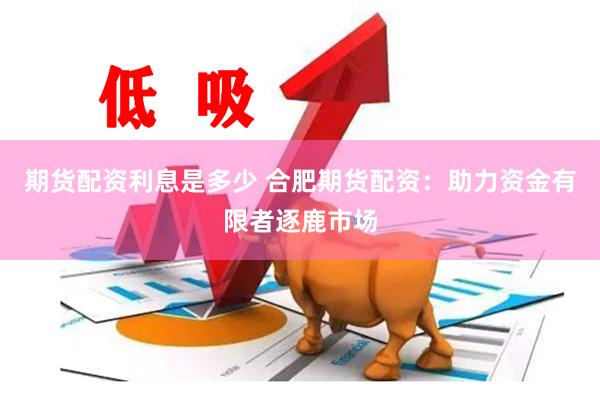 期货配资利息是多少 合肥期货配资：助力资金有限者逐鹿市场