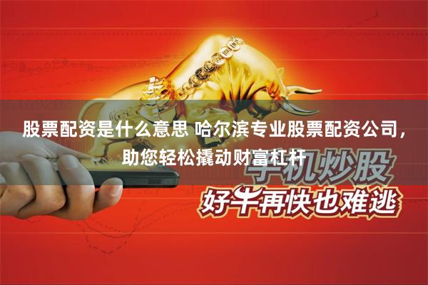 股票配资是什么意思 哈尔滨专业股票配资公司,助您轻松撬动财富杠杆