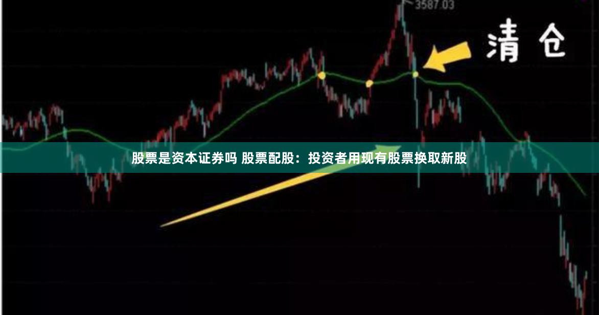 股票是资本证券吗 股票配股:投资者用现有股票换取新股