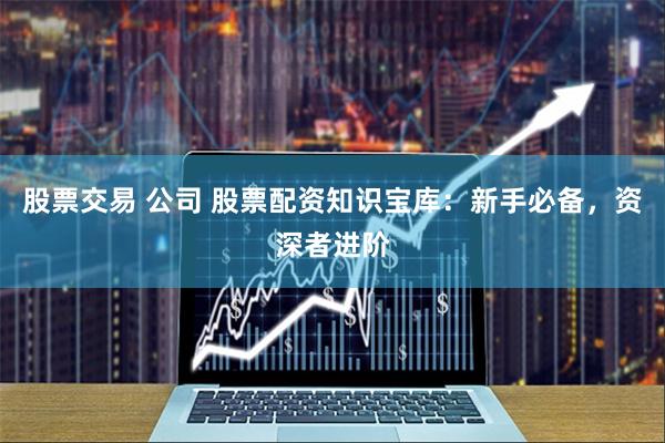 股票交易 公司 股票配资知识宝库:新手必备,资深者进阶